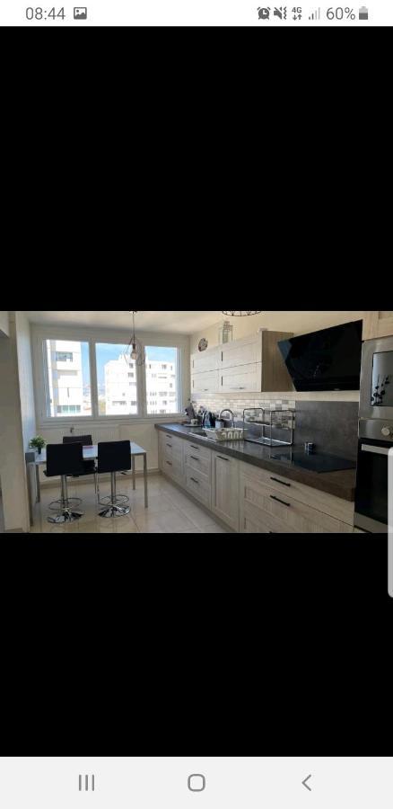 Appartement Laurent Bonnevay 빌뢰르반 외부 사진