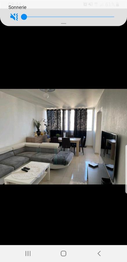 Appartement Laurent Bonnevay 빌뢰르반 외부 사진